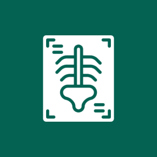 X-ray icon on dark green background.